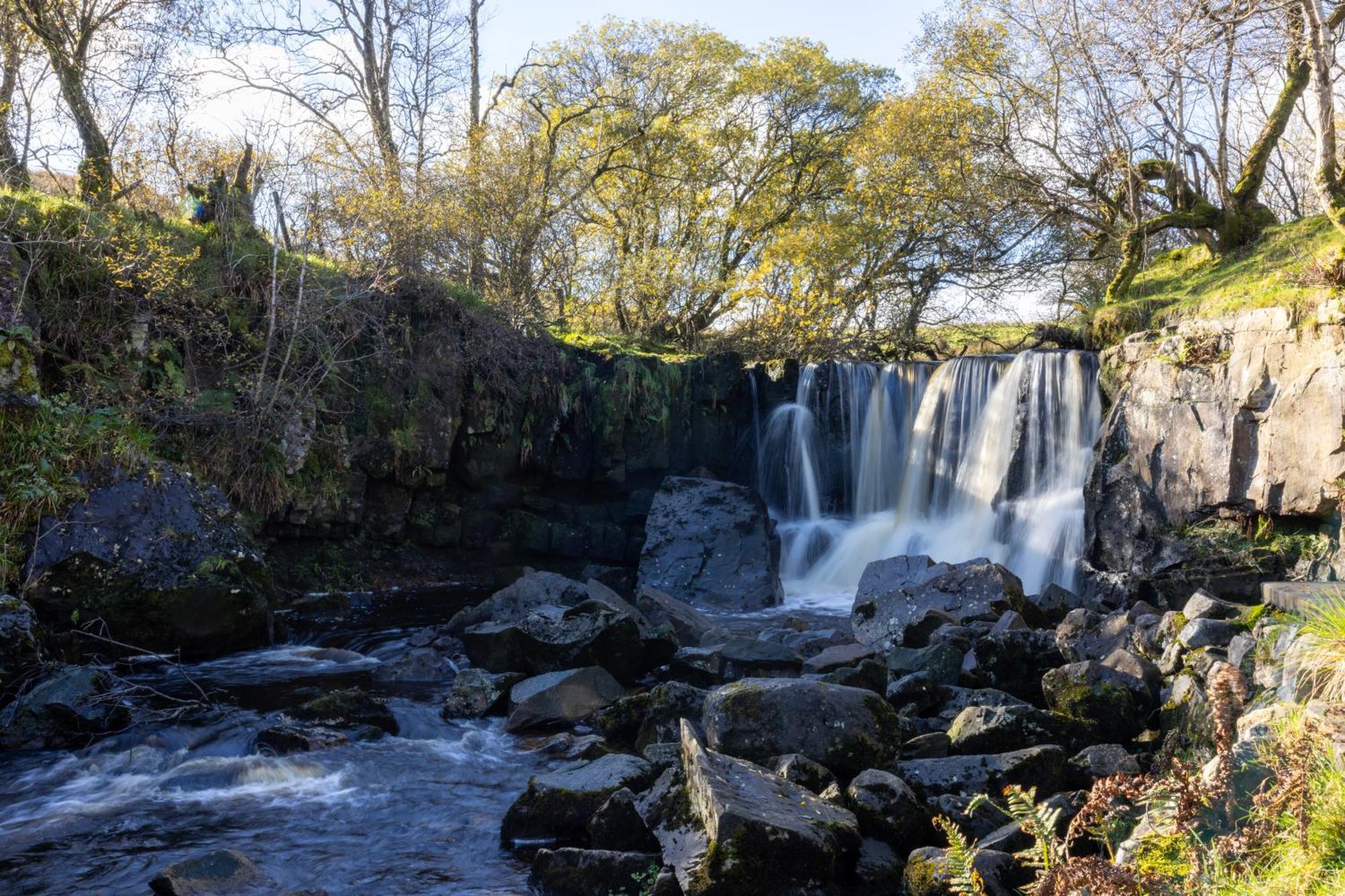 Hawthorn 4* Belturbet